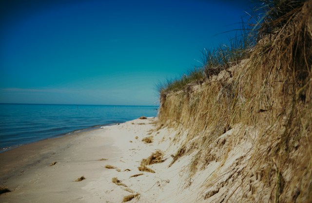 Blue ocean beside sandy coastal dunes